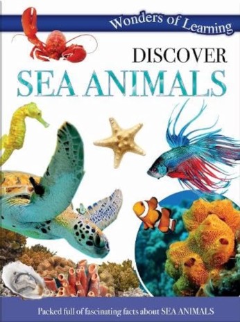 Discover Sea Animals